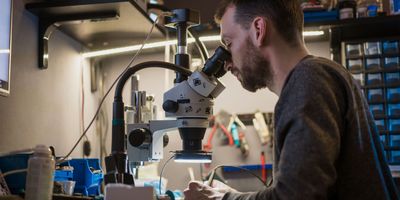 faili AdobeStock_407271022.jpg allalaadimine