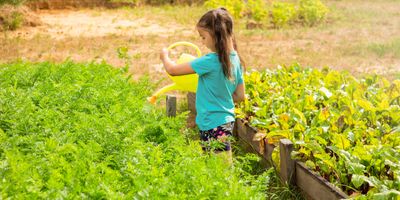 faili little-girl-in-a-green-t-shirt-watering-a-green-b-2023-03-22-06-16-07-utc.jpg allalaadimine